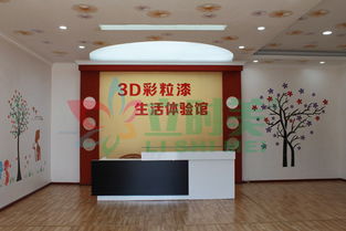 立時(shí)美3d彩粒漆加盟